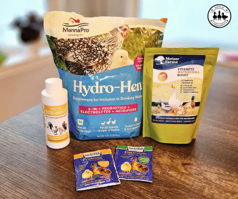 supplements for ducks