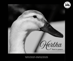 Remembering Hertha