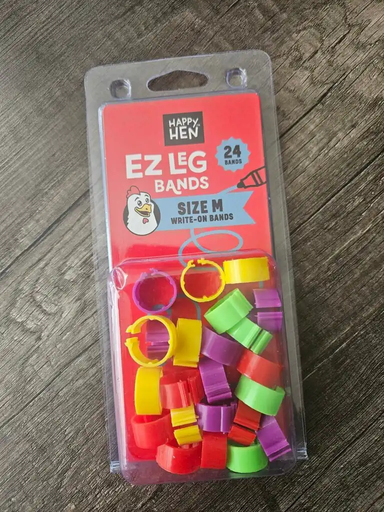 leg bands to identify ducks