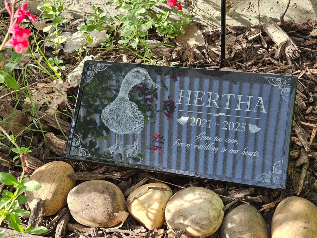 remembering Hertha