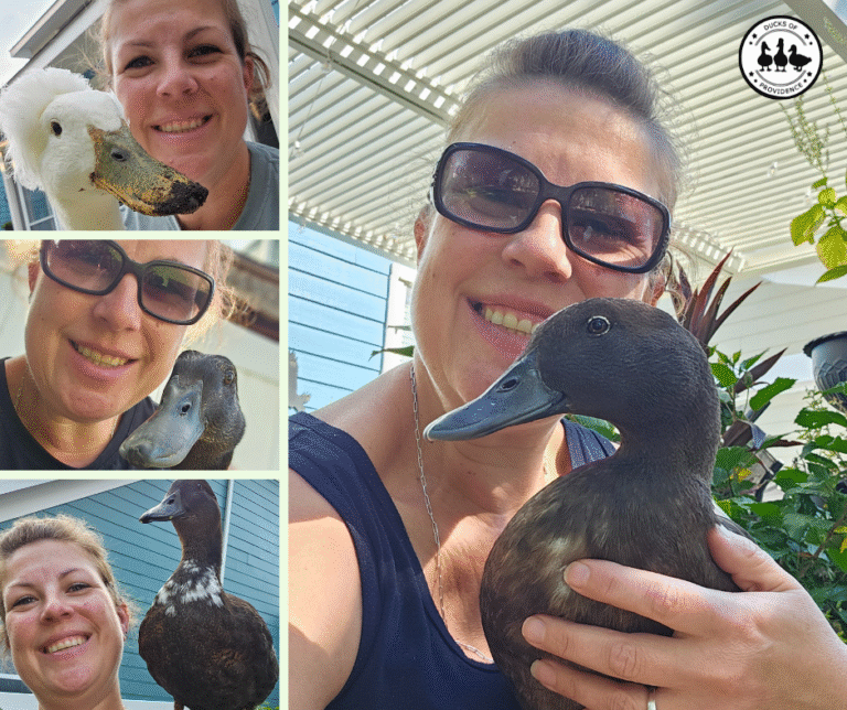 Lessons from Raising Ducks