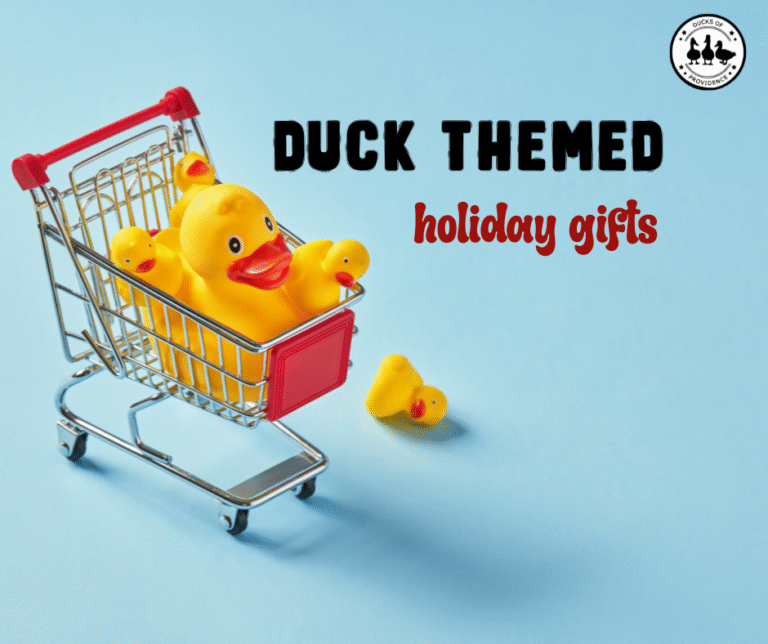 duck themed holiday gifts