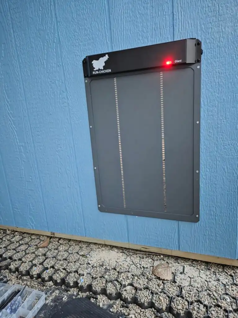 automatic coop door for ducks