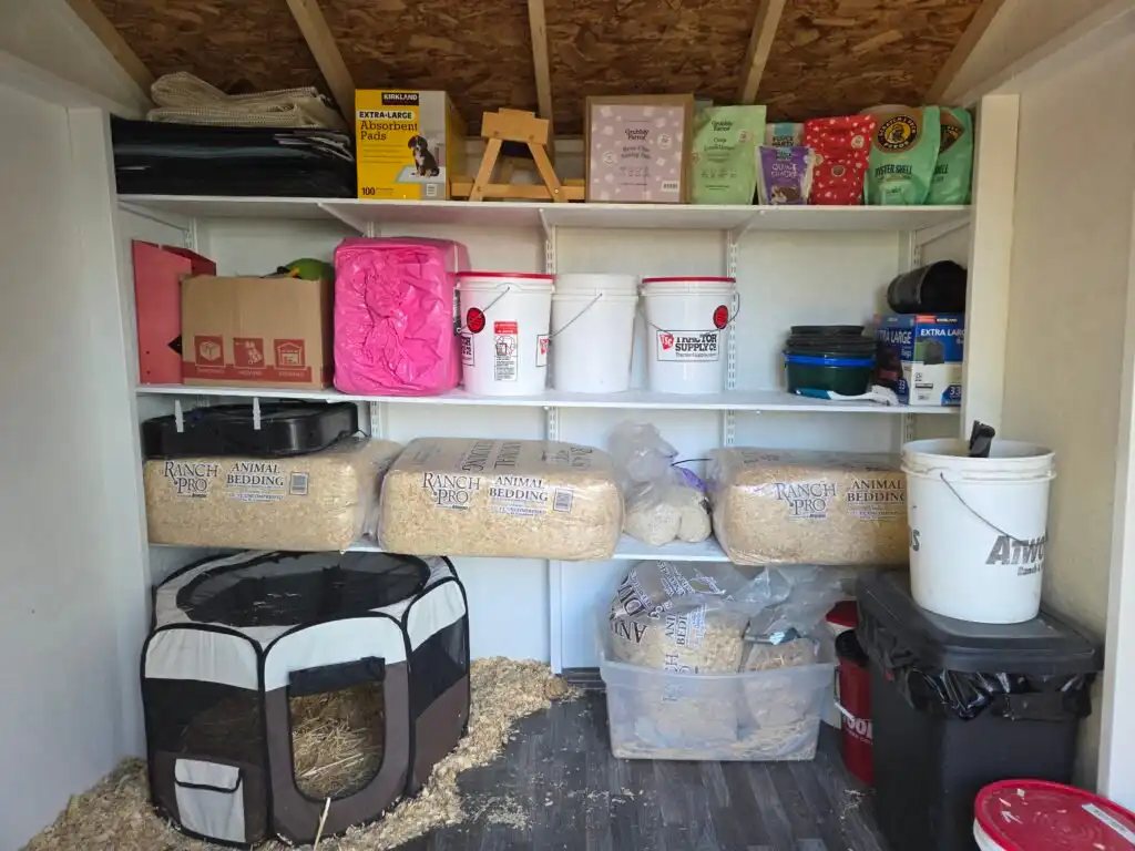 inside our duck shed