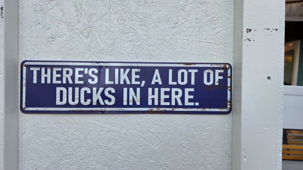 duck shed decoration