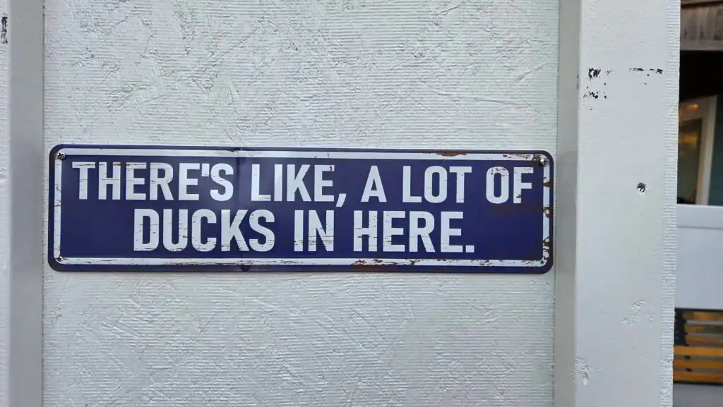 duck shed decoration