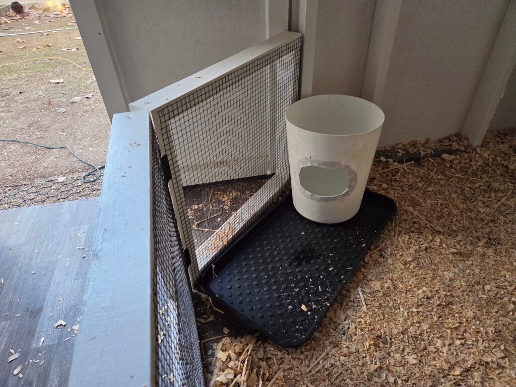 water for the ducks inside the duck shed