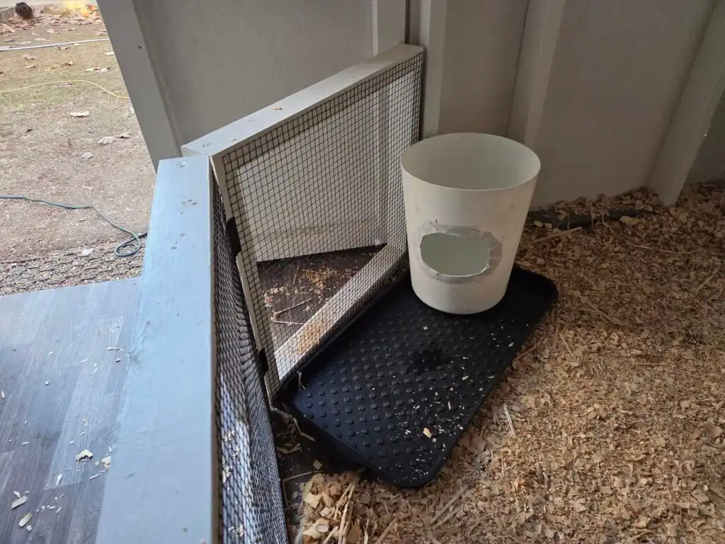 water for the ducks inside the duck shed