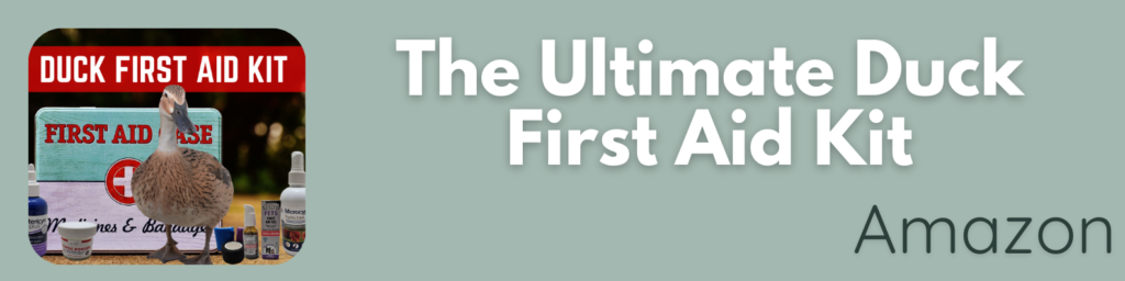 Banner that links to my amazon sorefront