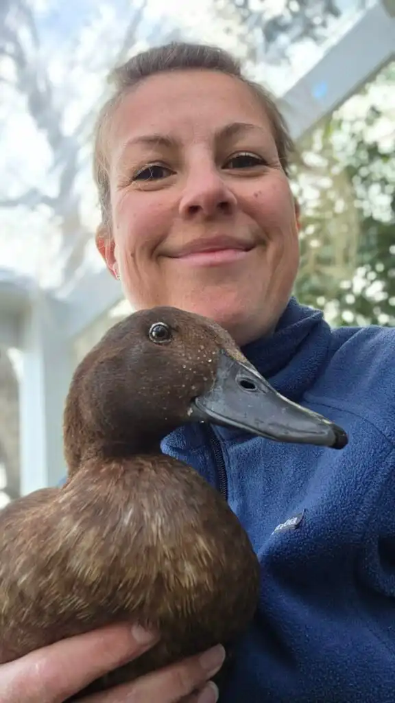 Melanie the face behind this website