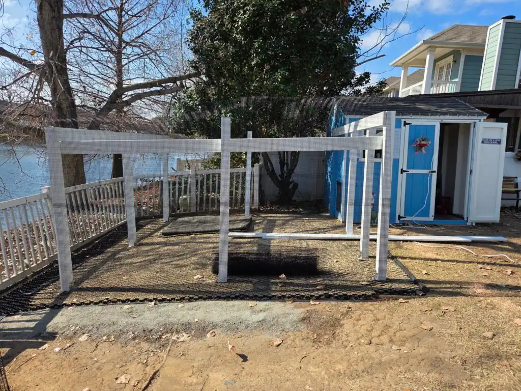 building the new duck run