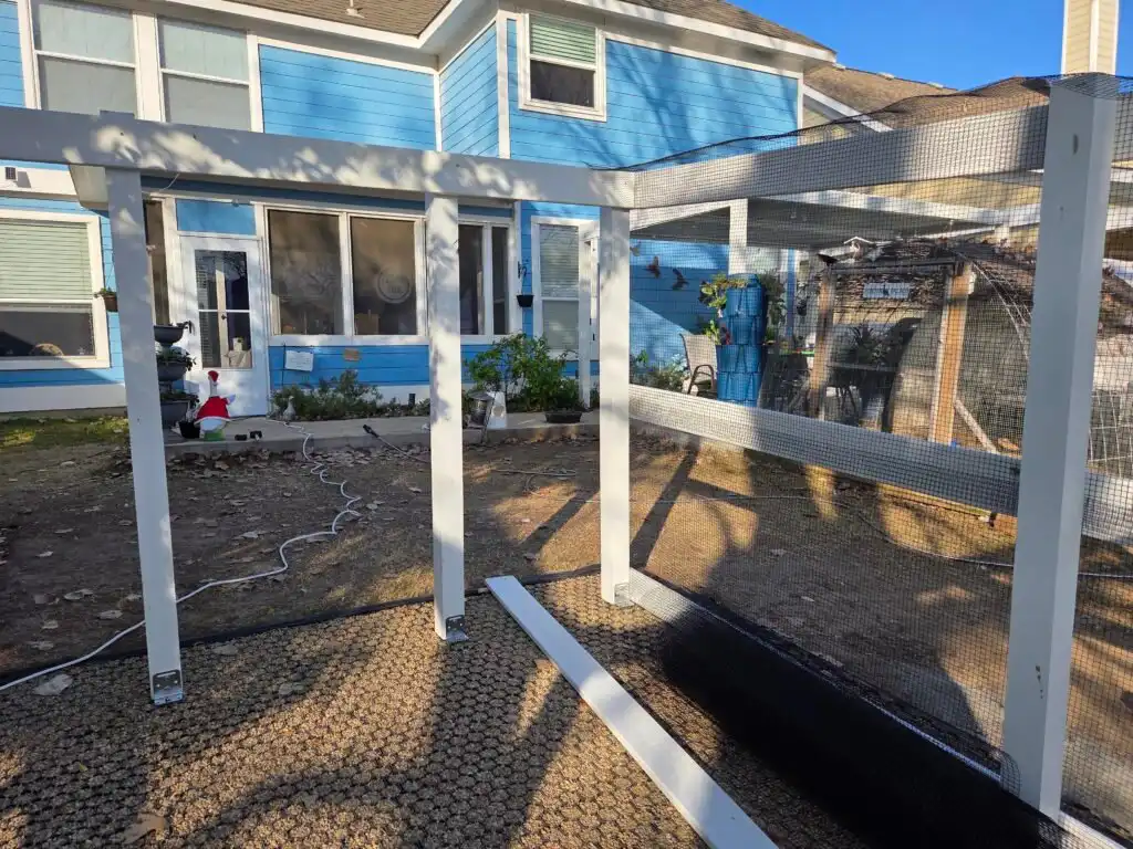 building the new duck run