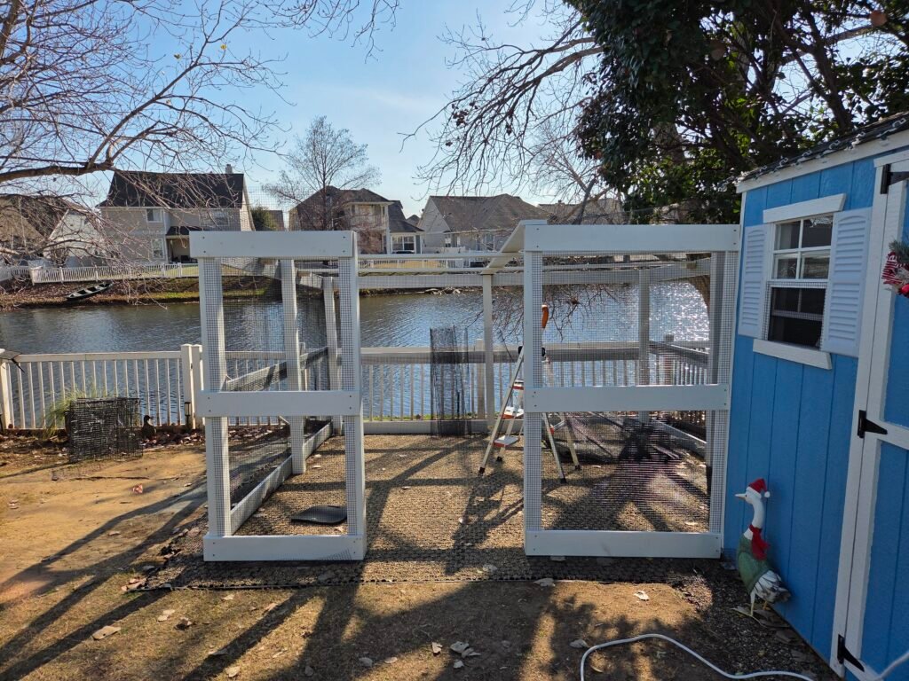 building the new duck run