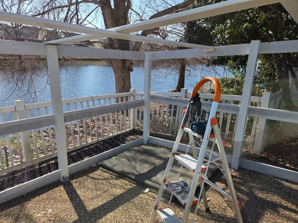 building the new duck run