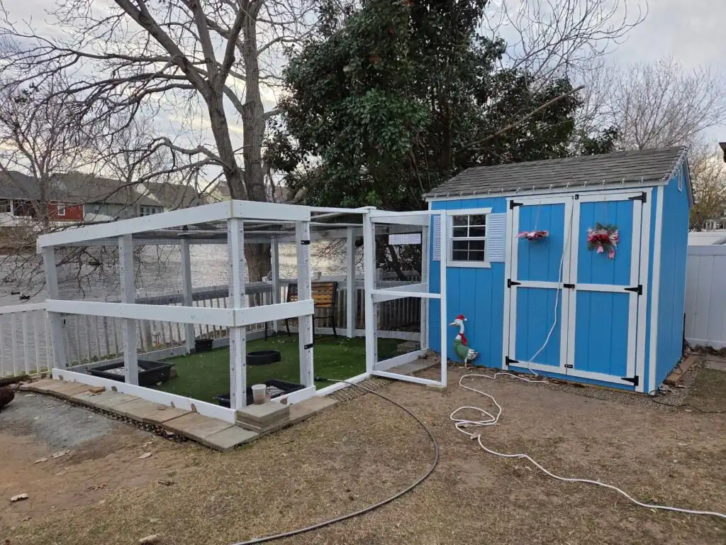 our new duck run with attached shed