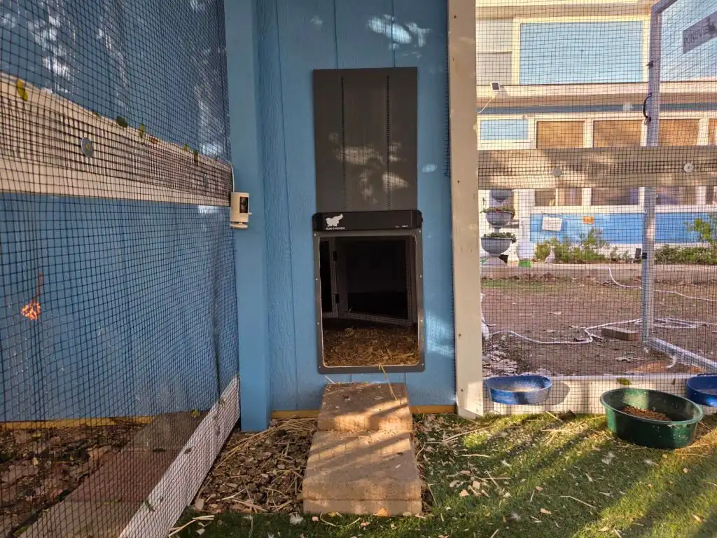 duck run coop door