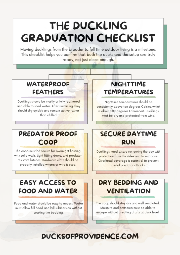 duckling graduation checklist