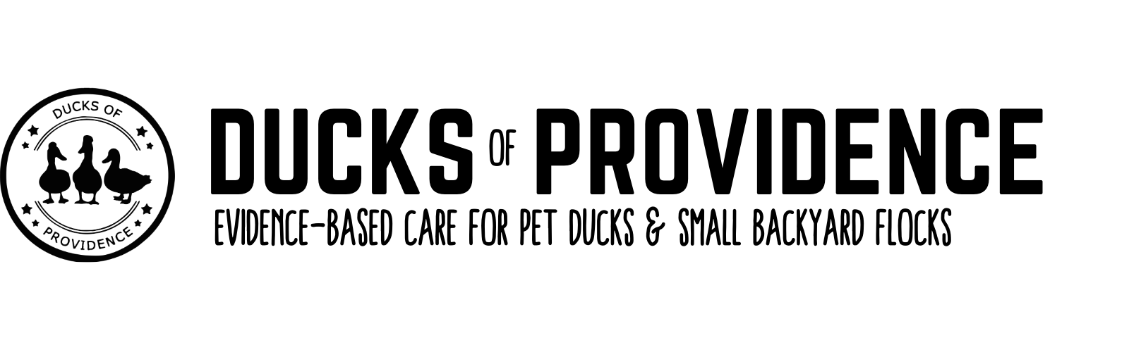 Ducks of Providence Home