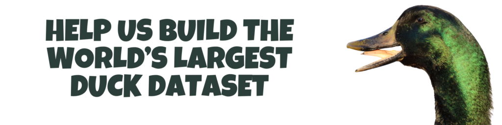 Help Us Build the World’s Largest Duck Dataset