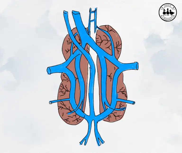 renal failure in ducks