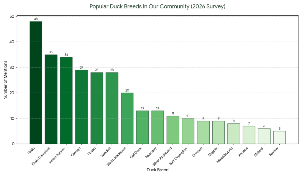 duck breed chart showing the results from our 2026 duck keeping survey