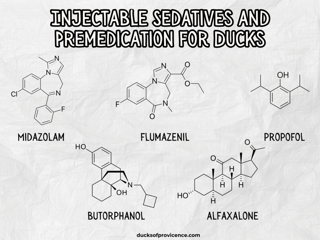 Injectable Sedatives and Premedication for ducks