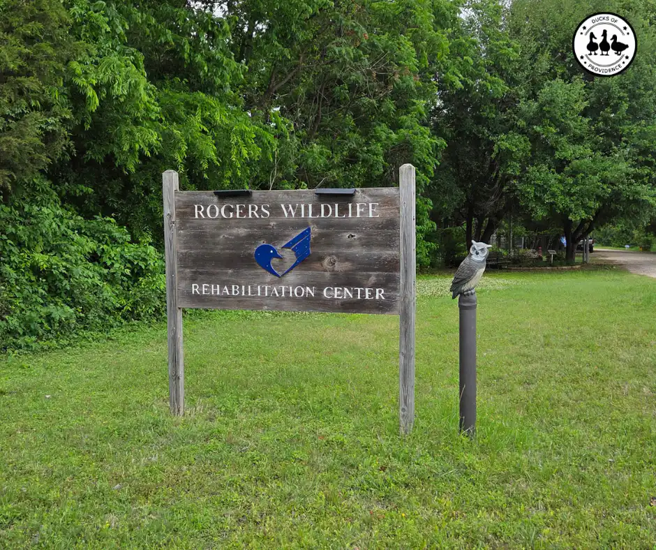 Rogers Wildlife Rehabilitation Center