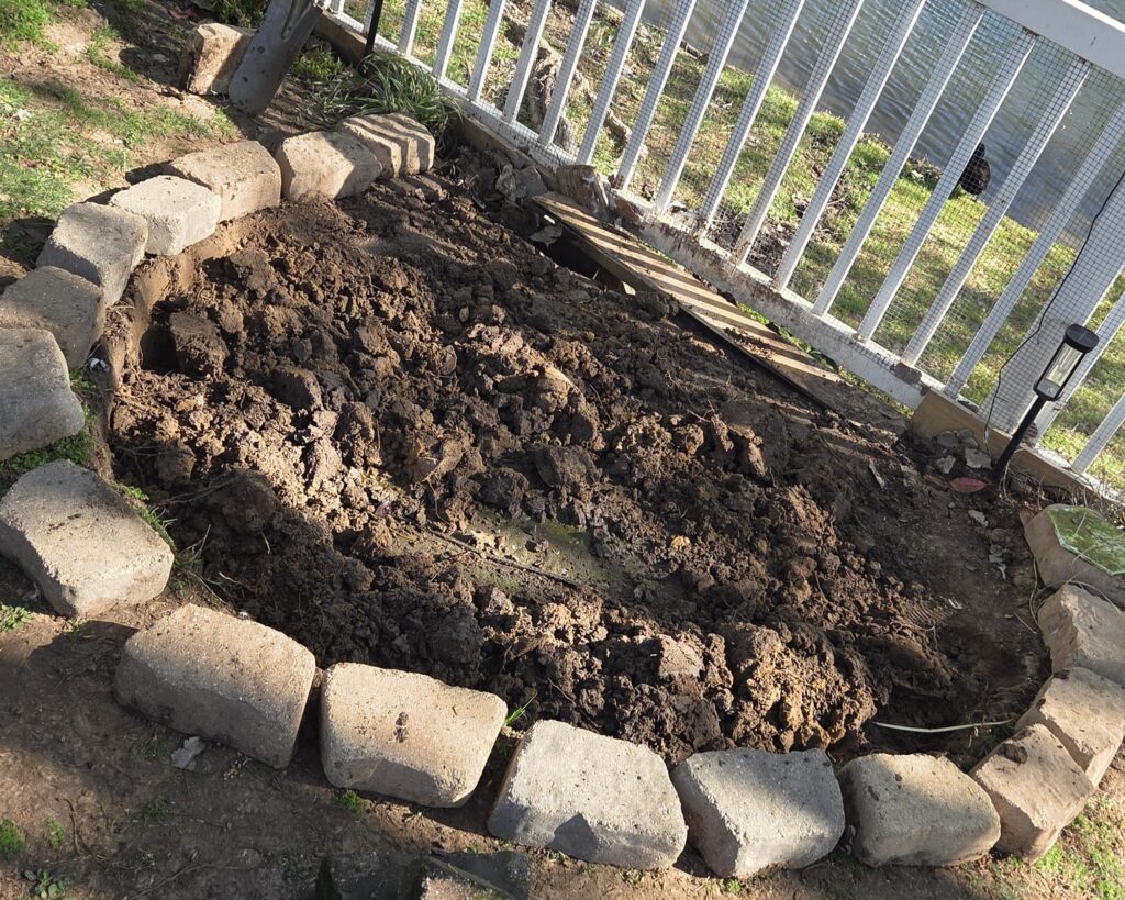 leveling the ground for the new duck pool
