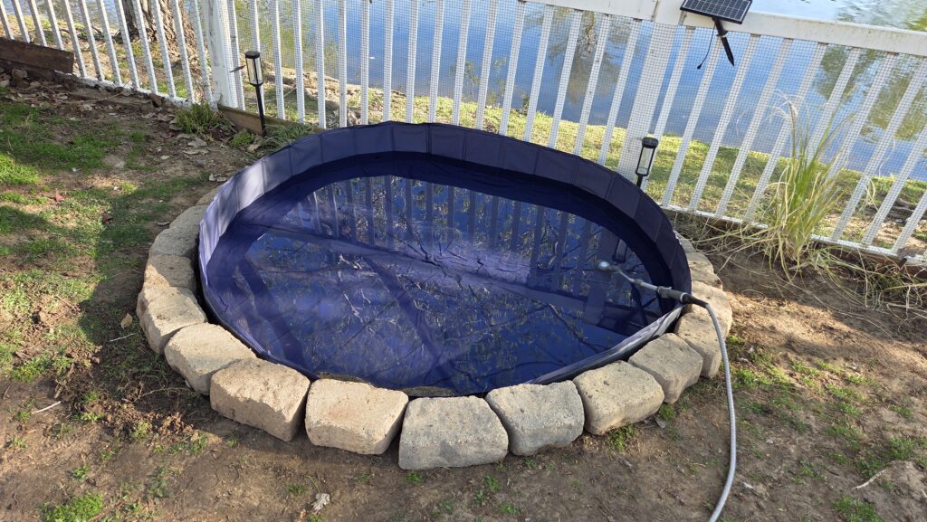 filling water into the new duck pool