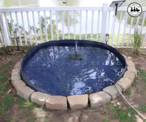 duck pool upgrade