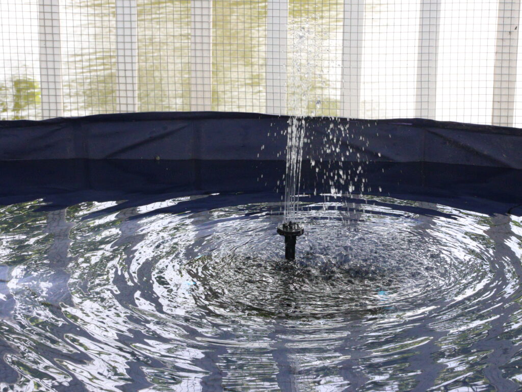 water fountain in duck pool