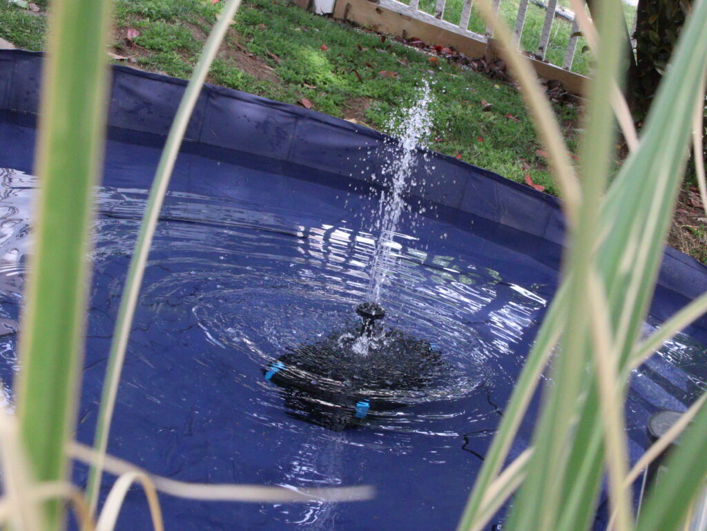 water fountain running in duck pool