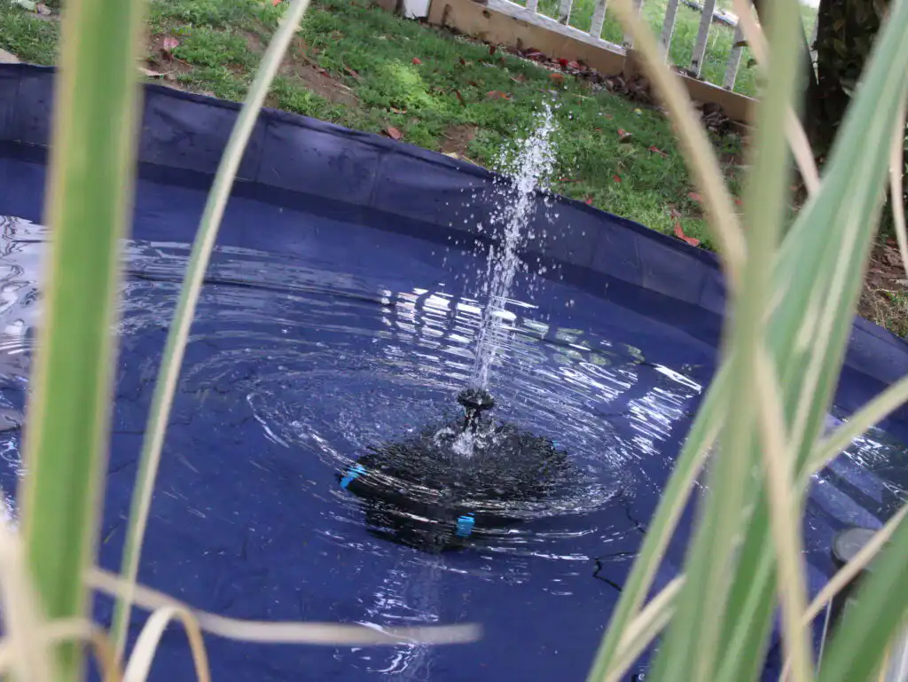 duck pool with water fountain