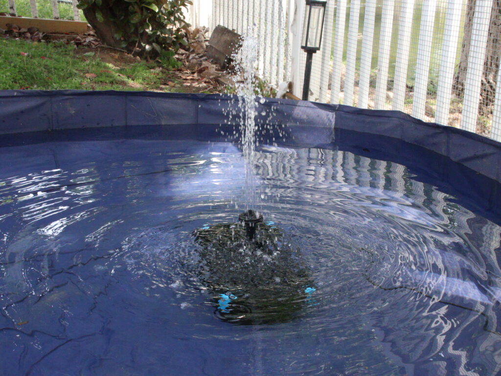 water fountain running in duck pool