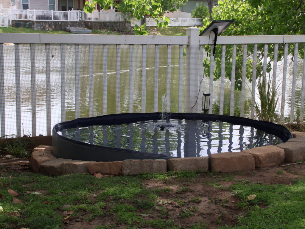 water fountain running in duck pool