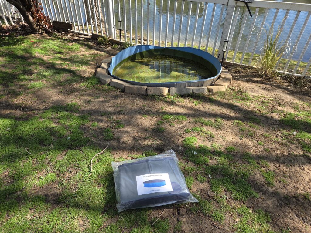 getting a new pool for the ducks