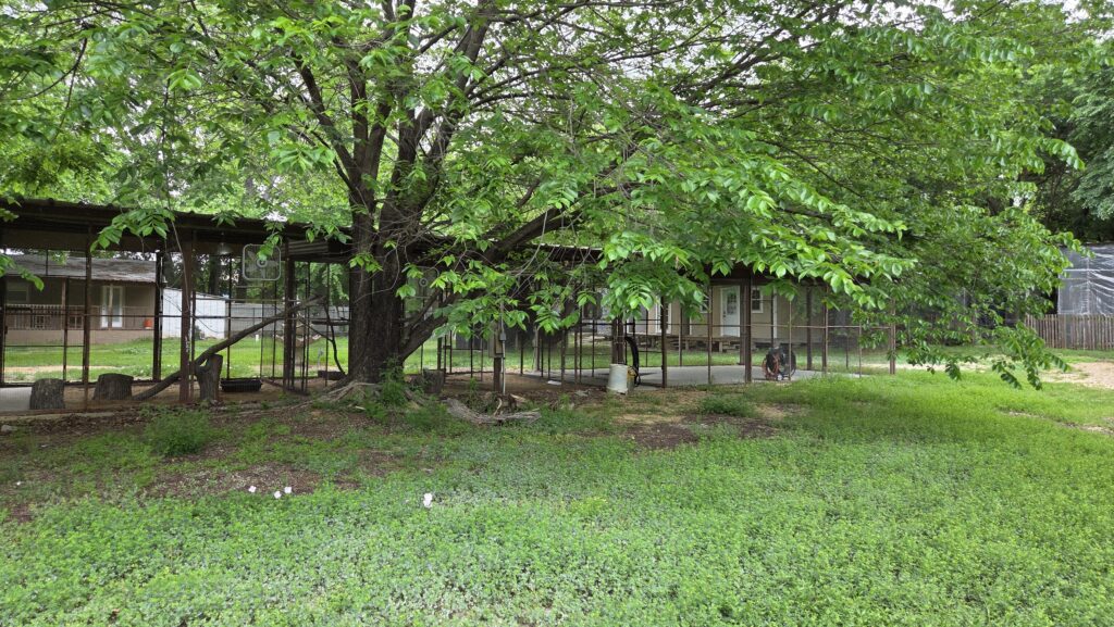 Rogers Wildlife Rehabilitation Center