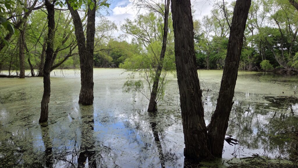 Rogers Wildlife Rehabilitation Center