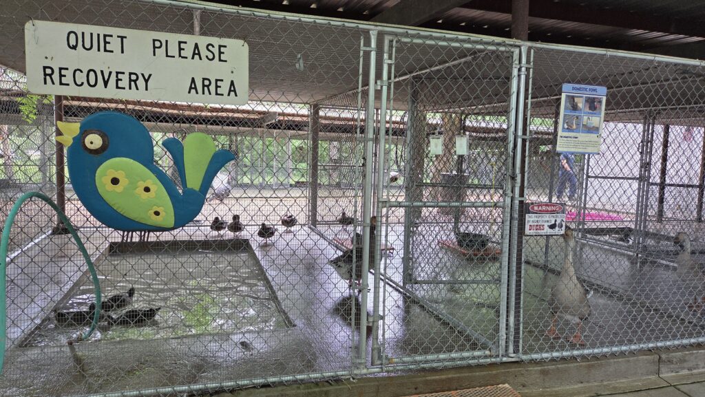 Rogers Wildlife Rehabilitation Center