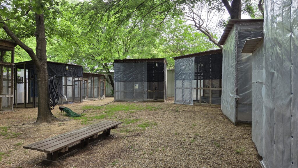 Rogers Wildlife Rehabilitation Center