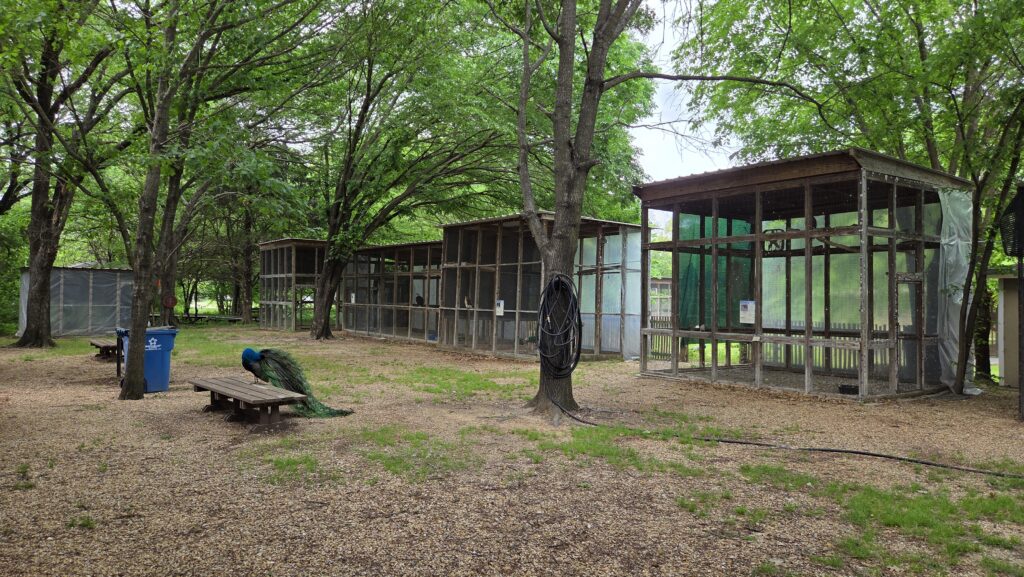 Rogers Wildlife Rehabilitation Center