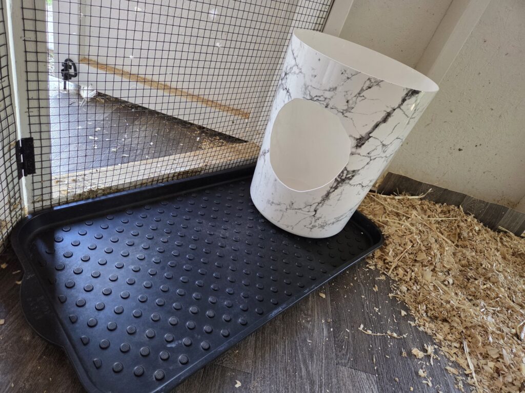 water setup for the night for ducks