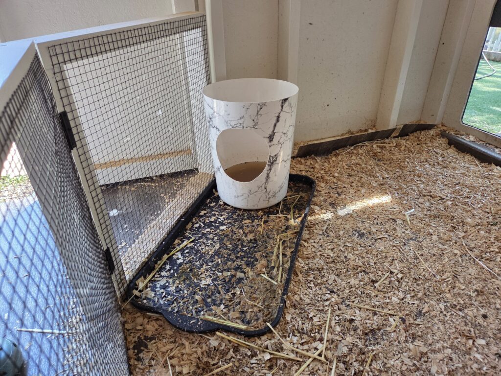 water setup for the night for ducks