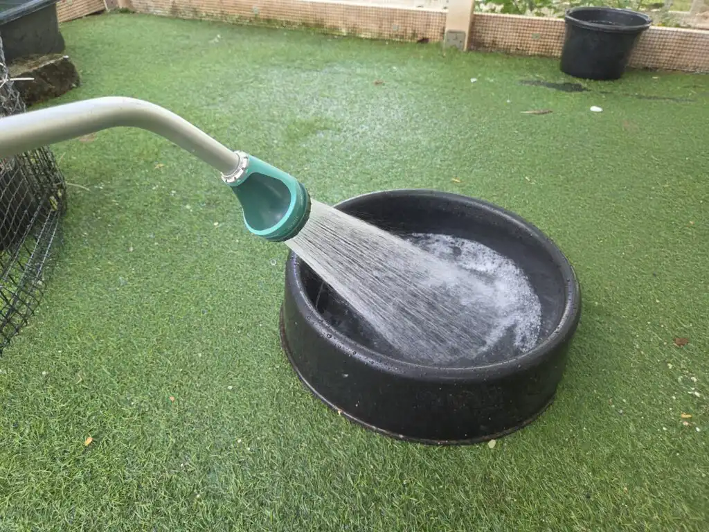 cleaning duck run

