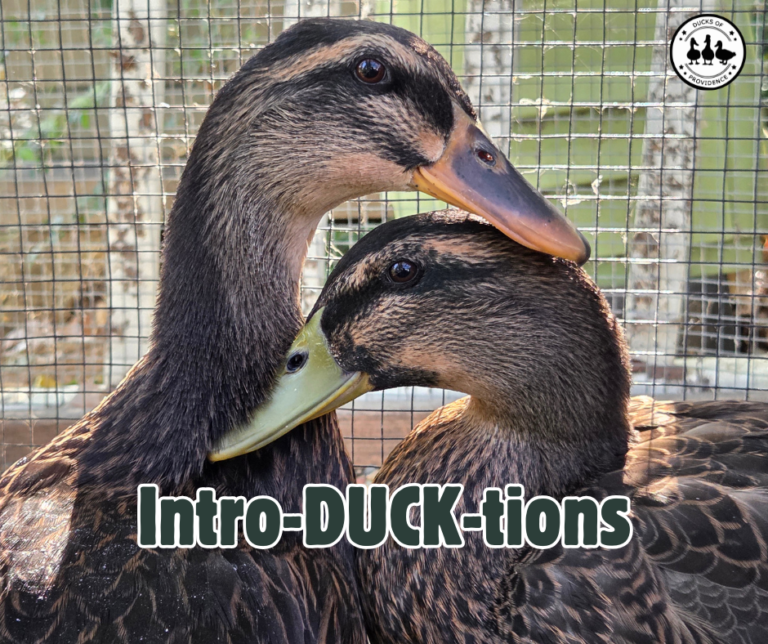 Tina & Thomas